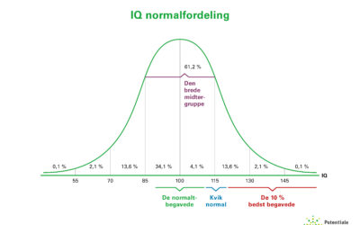 Høj IQ handler ikke om at være nr. 1