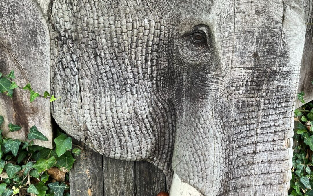 Belastende begavet og hukommelse som en elefant